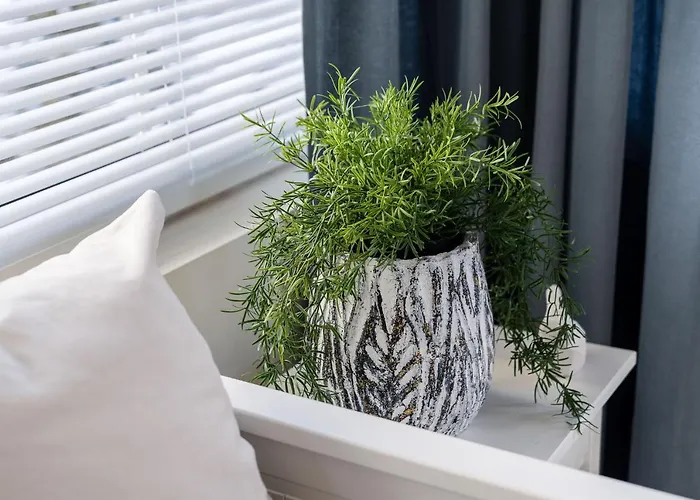 アパート Sanhaus - Toledo - Przytulne 3 Minuty Od Plazy *